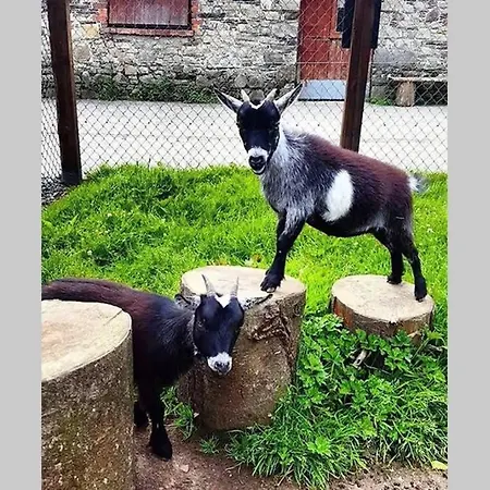 The Gardeners At Wells House