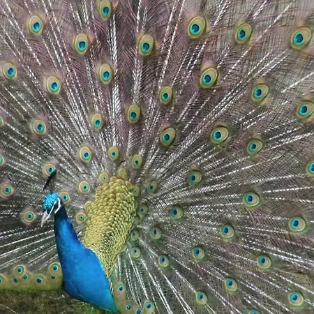 Prázdninový dům The Gardeners At Wells House