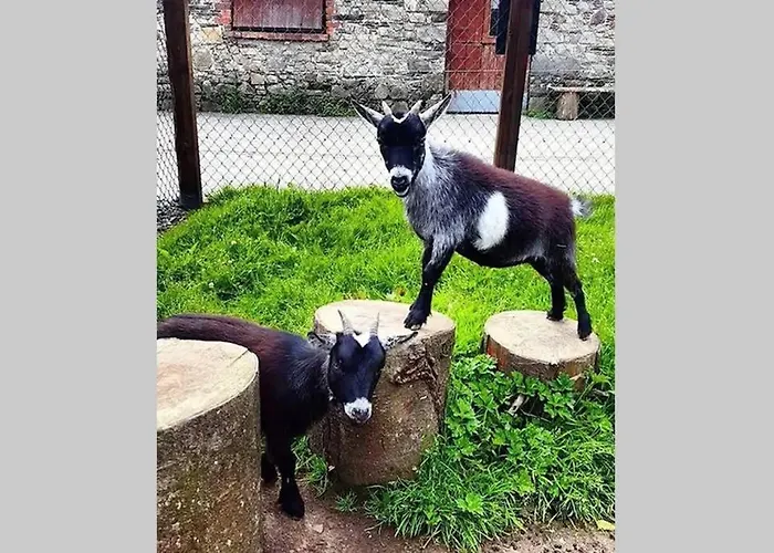 The Gardeners At Wells House