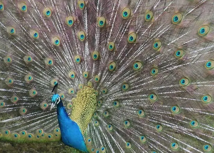 Prázdninový dům The Gardeners At Wells House